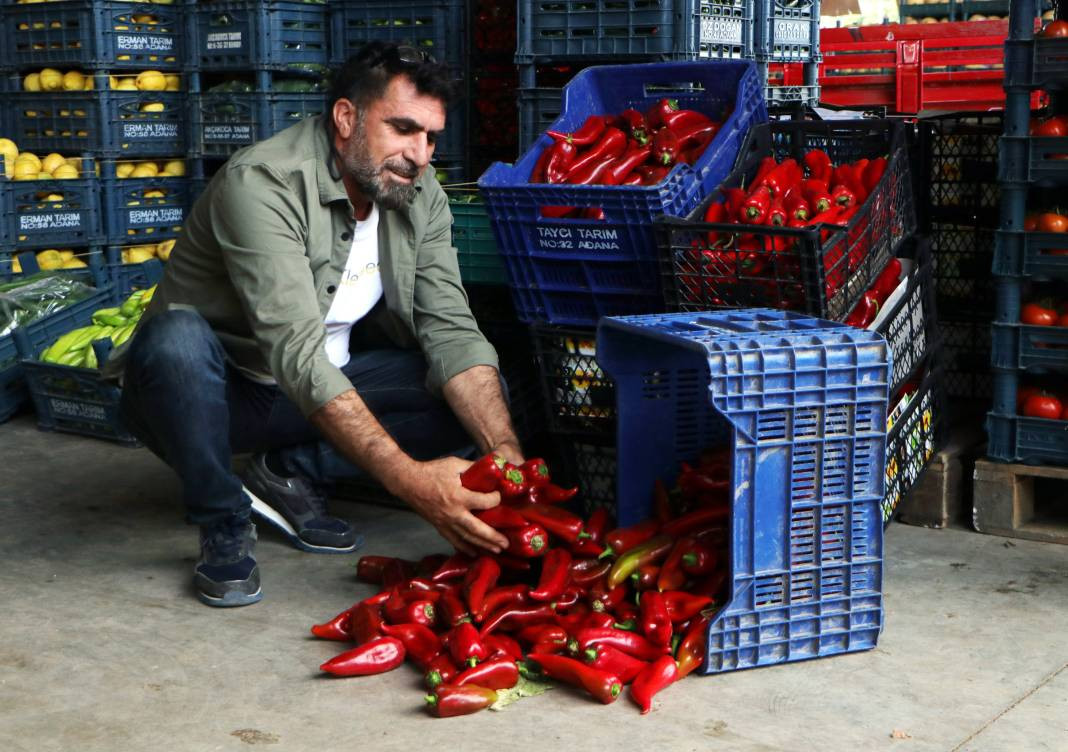 Market fiyatı tarlanın 5 katı! Kansere kalkan oluyor kalp krizini durduruyor - Resim: 26